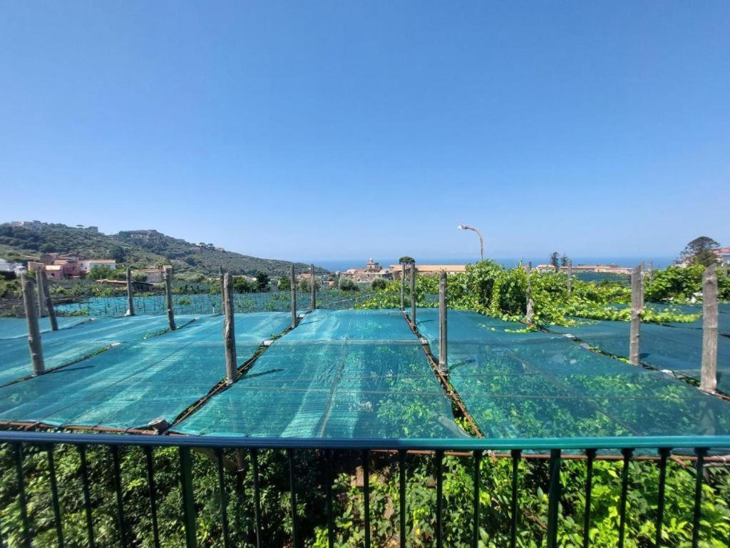 Il Pozzillo Maison Massa Lubrense Extérieur photo